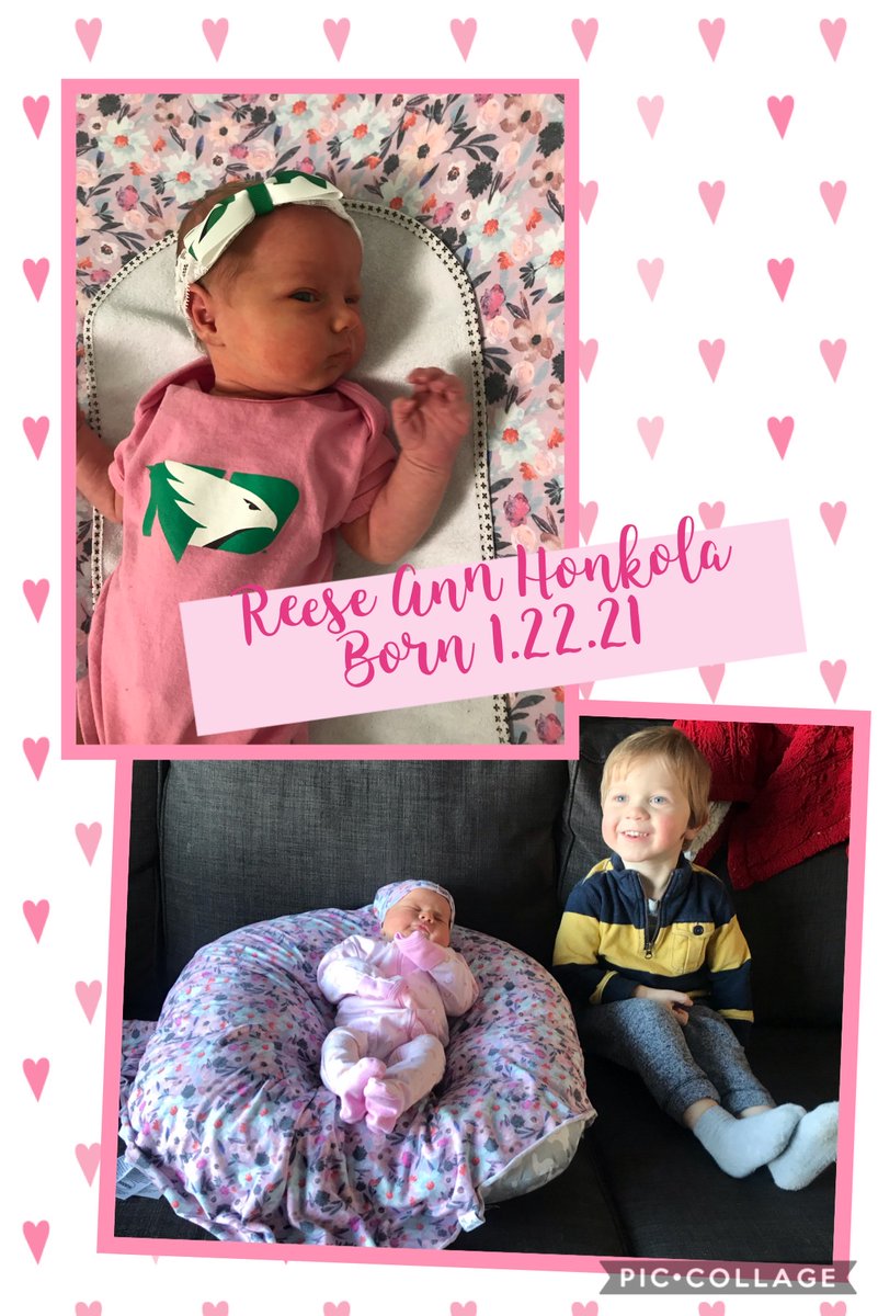 Mrs. Honkola's Class tweet media