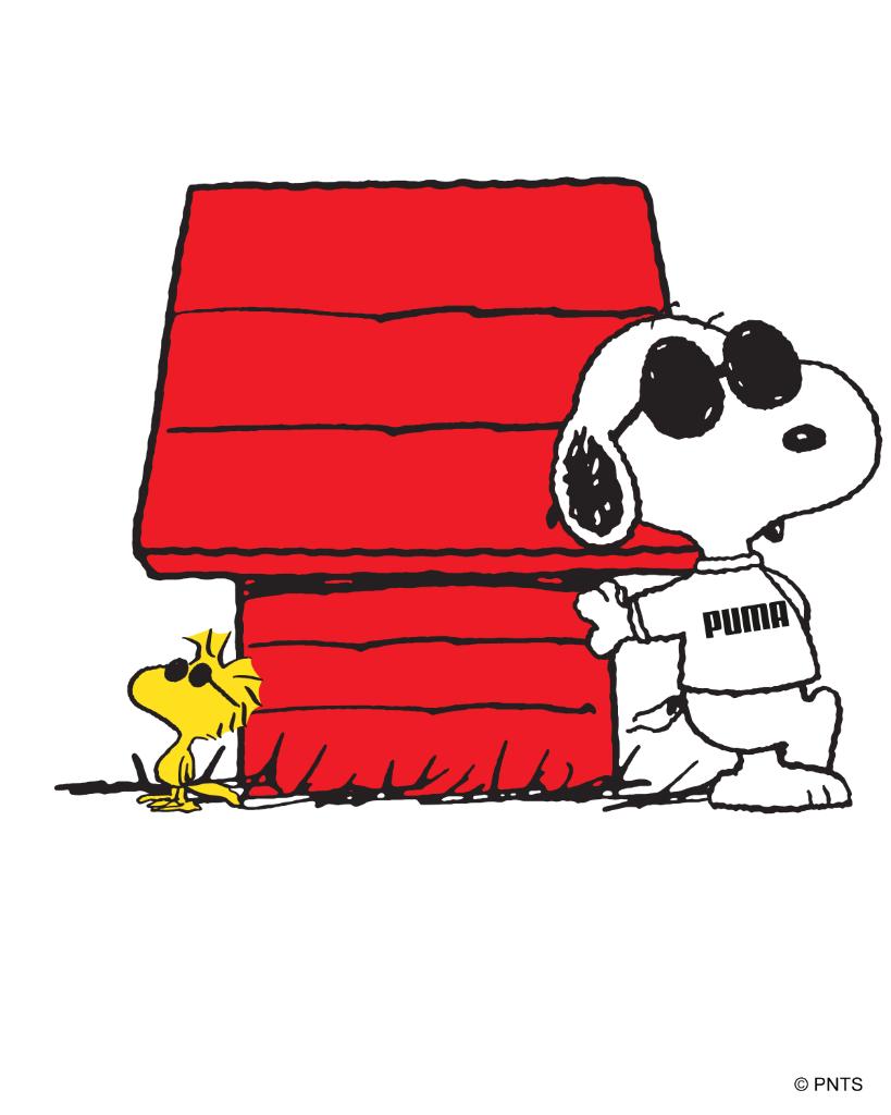 Puma Puma X Peanuts A Couple Of Classics T Co Ofacjxvxtd T Co Mwisj4cdlw Twitter