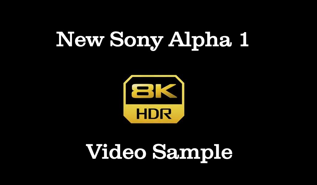 Sony a1 Alpha Camera 8K Sample Video cameraray.com/sony-a1-alpha-… The Sony A1 is the first Sony Alpha series camera to feature 8K 30p 10-bit 4:2:0 XAVC HS video recording. It can shoot 4K 120p / 60p 10-bit 4:2:2 video, S-Cinetone colour. #sonya1 #sonycamera #sony #SonyAlpha1