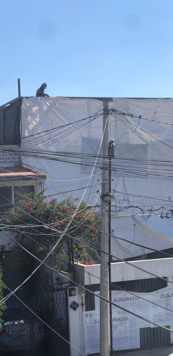 <a href="/CFEmx/">CFEmx</a> <a href="/CFE_Contigo/">CFE_Contigo</a> Necesitan venir a revisar, está obra en Totoapan 113 además de estar clausurada y que siguen laborando, provoca que todos los colonos de la calle tengamos altas y bajas en la luz. <a href="/inveacdmx/">INVEACDMX</a> <a href="/patiaceves/">Dra. Patricia Aceves</a> <a href="/PAOTmx/">PAOT</a> <a href="/TlalpanAl/">Alcaldía Tlalpan</a> <a href="/Claudiashein/">Claudia Sheinbaum Pardo</a>