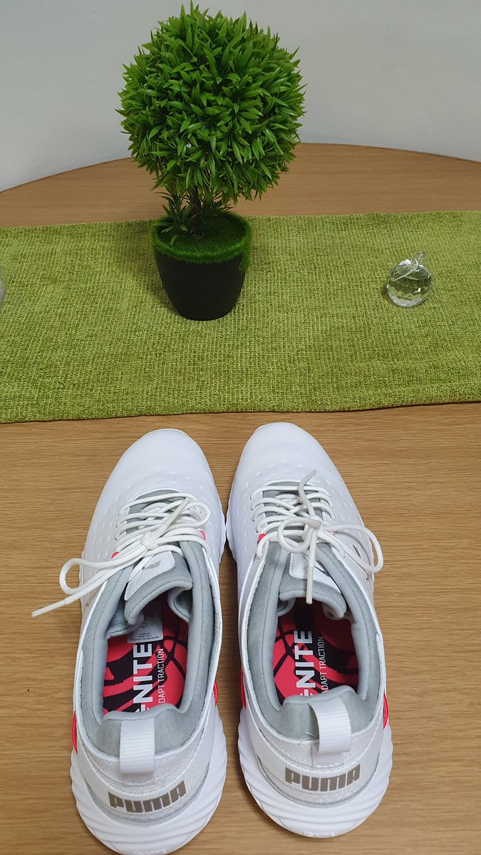ZiskaHaak's tweet photo. My new golf babies! 🤩

Here's to many more great golf rounds!!

#golfshoes #puma #pumagolf #golfismylife #proudmommybear #walkingthecourse #walkamileinmyshoes #cobragolf https://t.co/gPfVSVgDxt