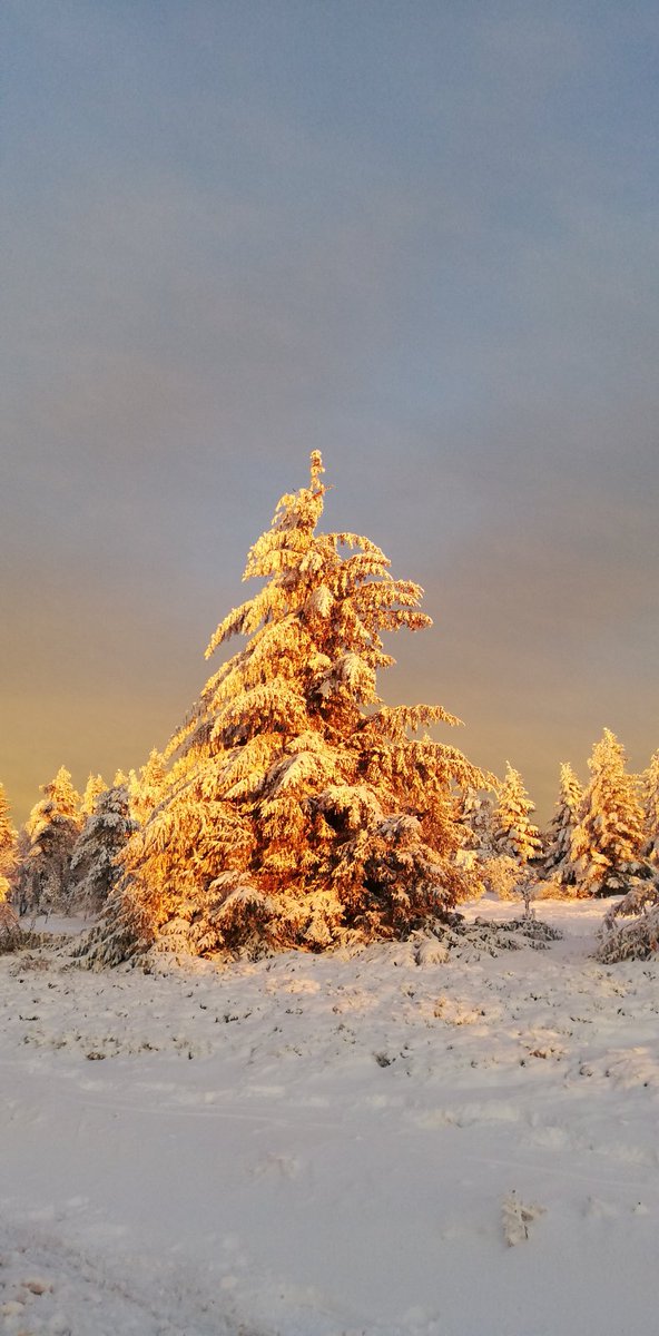 Tozland's tweet image. #BattlePhoto