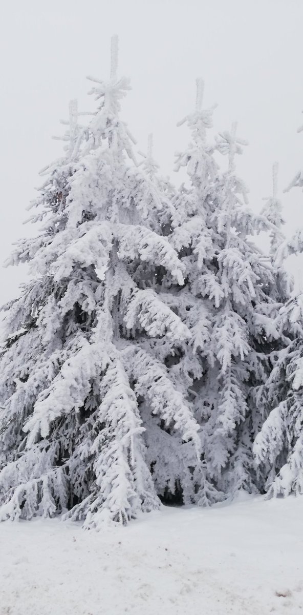 Tozland's tweet image. #BattlePhoto