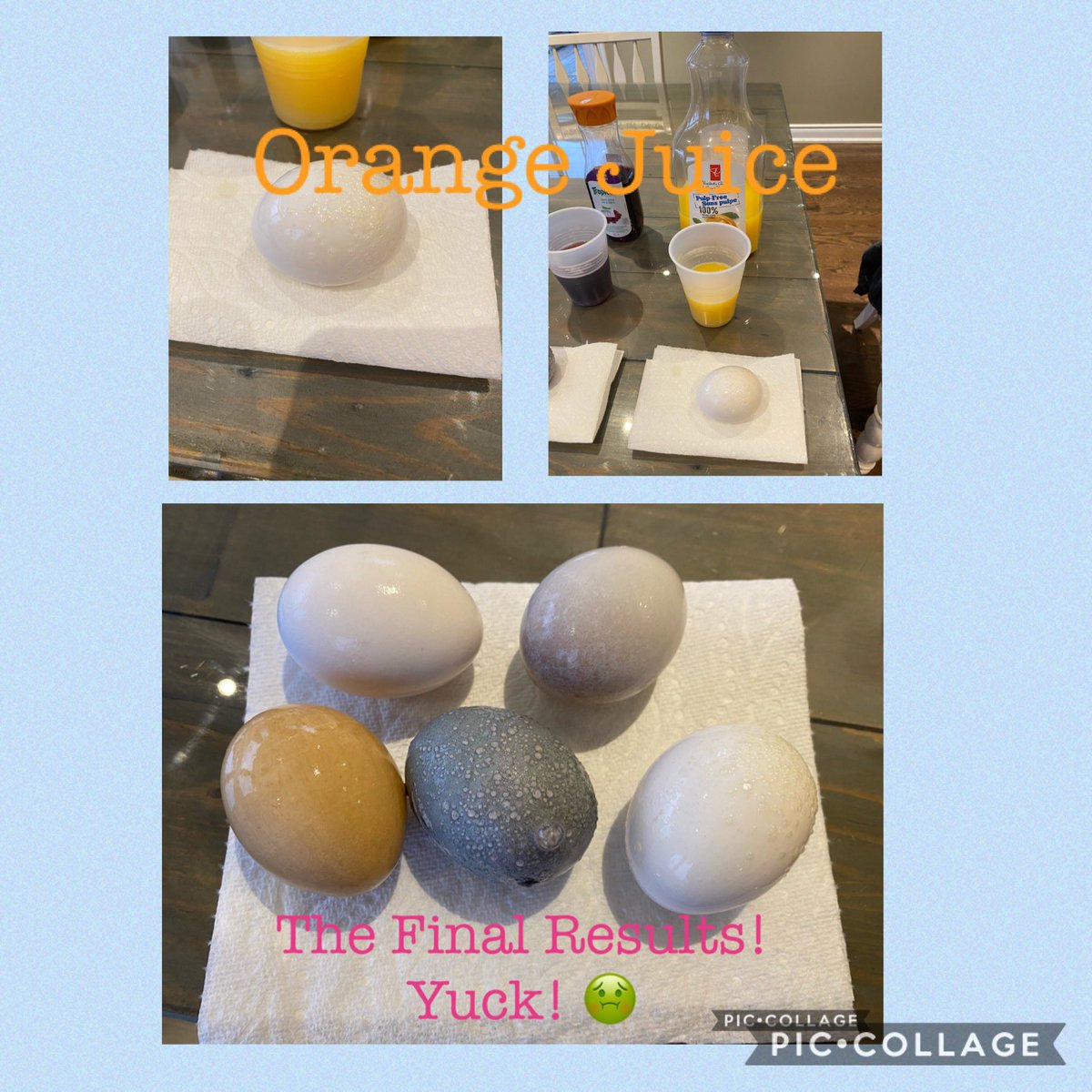 The grade twos have been investigating how our food choices can effect our teeth.  Check out the results of our health experiment on sugary drinks!  Yikes! 🤢