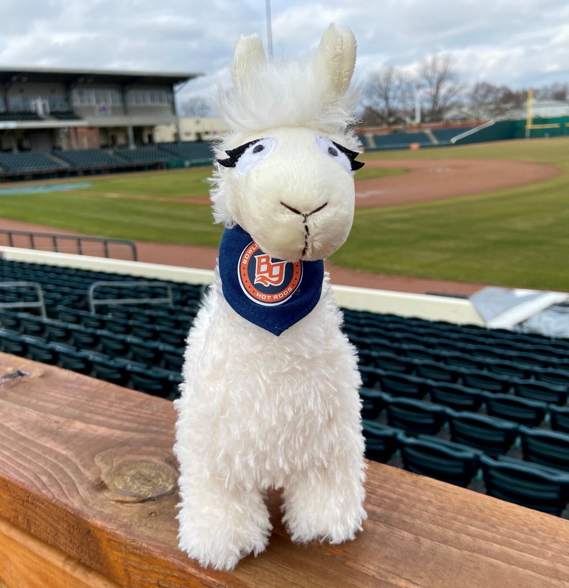 BGHotRods's tweet photo. Get your Hot Rods stuffed Llama in the Body Shop now!
🦙 https://t.co/oWQQVoUkfr

Not this one though, we adopted him. His name is Larry https://t.co/21vny1B6Ec