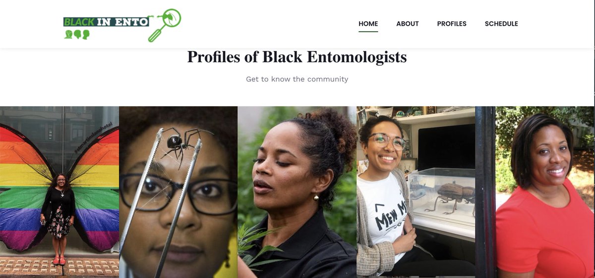 BlackInEntomology week buzzes in February 22-26, 2021! More information and the full schedule coming soon here, and on our website: blackinento.com!