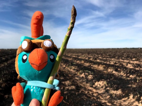 FreshPlaza.de tweet media