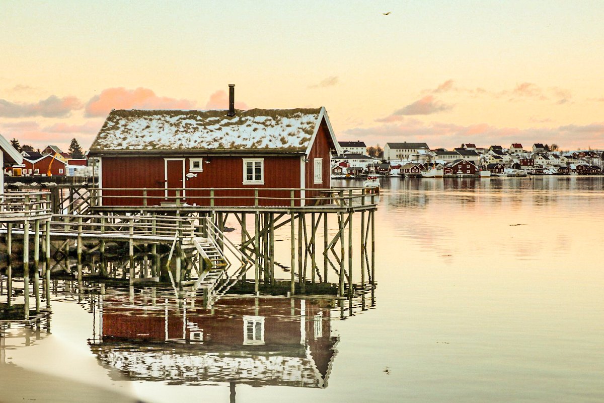 Wait_sea's tweet image. Et une P5 pour la #BattlePhoto 😇