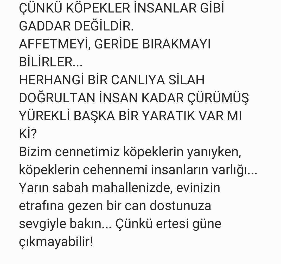 U GECE YATAĞINDA RAHAT UYUMA SEFERİHİSAR!
PARAMPARÇA KEMİĞİ VE SALLANAN KOLUYLA DAĞLARDA AÇ GEZEN BİR KÖPEĞİN MİNİCİK VÜCUDUNDAKİ SANCISI SENİN KABUSUN OLSUN!
ÇÜNKÜ SENİN PİSLİK KENTİNDE  KÖPEKLERE SİLAHLA ATEŞ EDEN, KEMİKLERİNİ PARAMPARÇA EDEN CANİLER, KATİL ADAYLARI VAR!