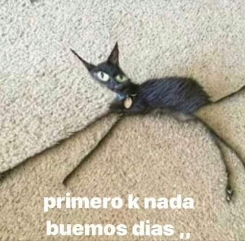 ?