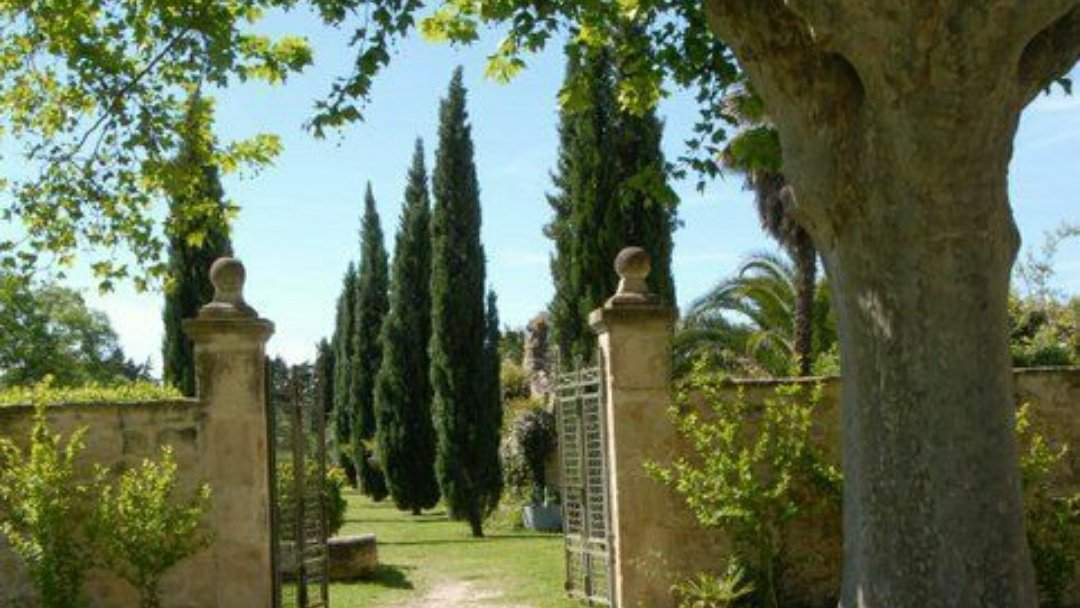 DI0RSBABY's tweet photo. -summer in italy https://t.co/dxlmJDd54g