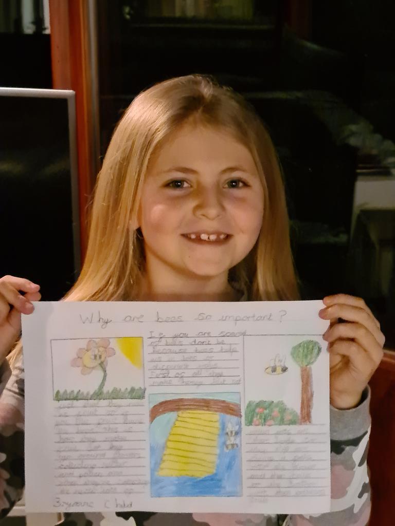 andrewchild86's tweet photo. Bryanne's PHSE work today was about how important Bee's are. She was so happy to learn how they help fruit grow. @MrOrton2020 @walmleyjssc https://t.co/7ip23cVvwK