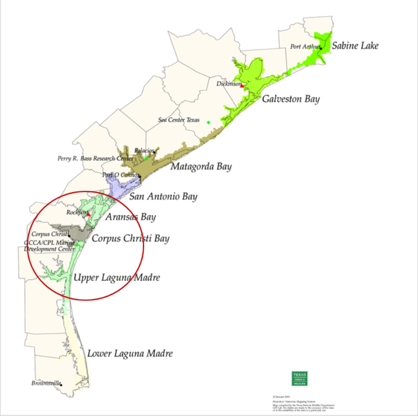 We looked at differences in the salinity of aquatic environments in  #SouthTexas and its effects on the dolphin stocks. Stocks from Laguna Madre and Corpus Christi Bay were studied. Laguna Madre is a hypersaline bay and Corpus Christi Bay has lower salinity levels.  #AnimBehav2021