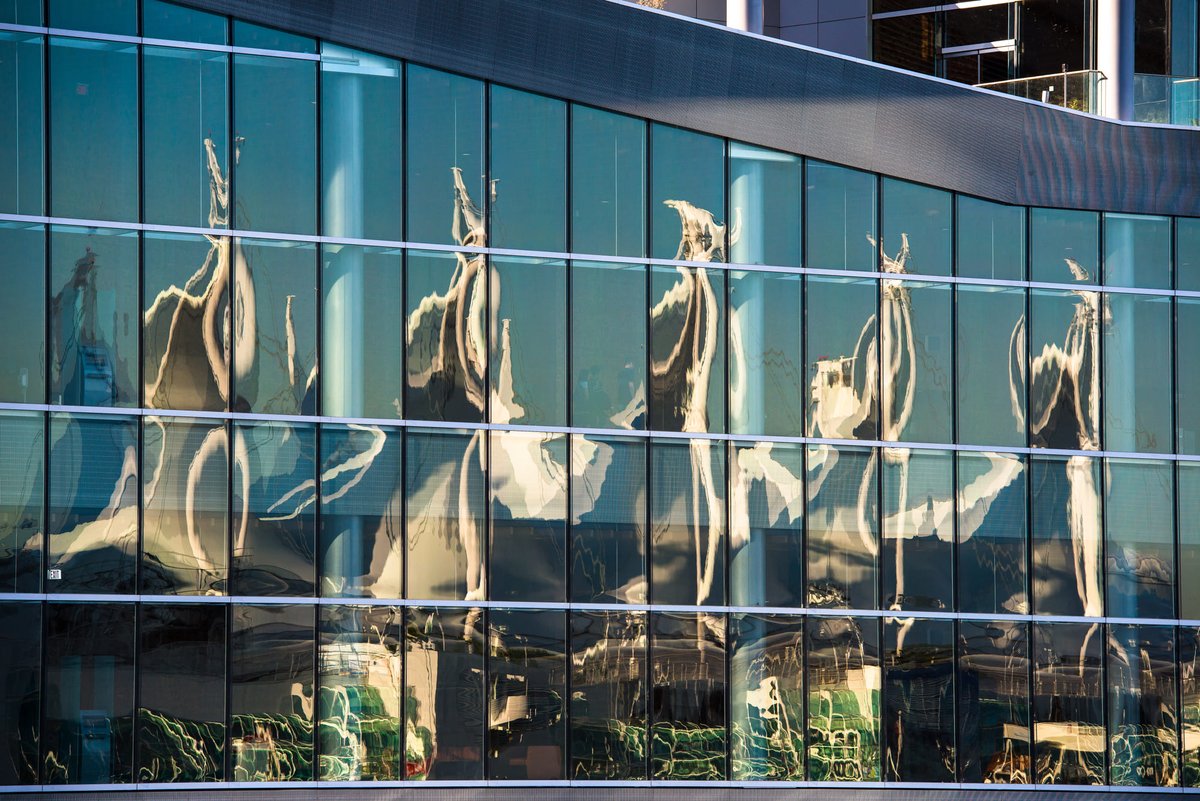 Jonas Portmann tweet media