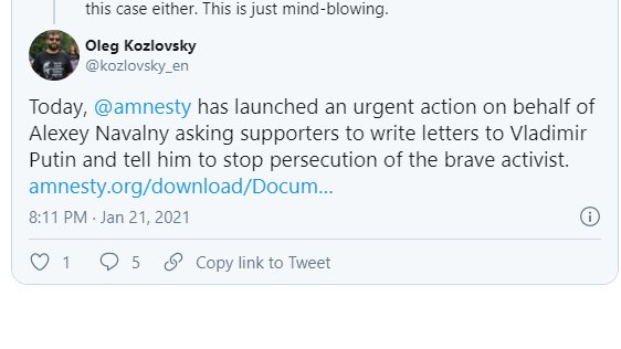 2020  @amnesty : arbitrary politically motivated detention of white supremacist anti-Putin  #Navalny : BADAmnesty: Please quick sign the petition!!! Action now! https://twitter.com/amnesty/status/1353626173813780480