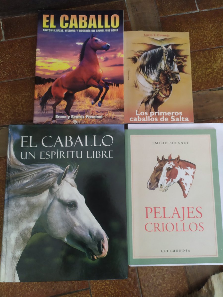 eugeamazona's tweet photo. Recomendables, el 1 cuestiones generales el 2 historia muy bueno, el 3 razas del mundo e historia el 4 #Pelajes #Solanet los amo a todos 🐎😊 y la revista española si la consiguen #ElMundoDelCaballo https://t.co/dF4UroPdtA
