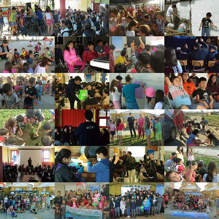 Salvemos el río Renaico tweet media