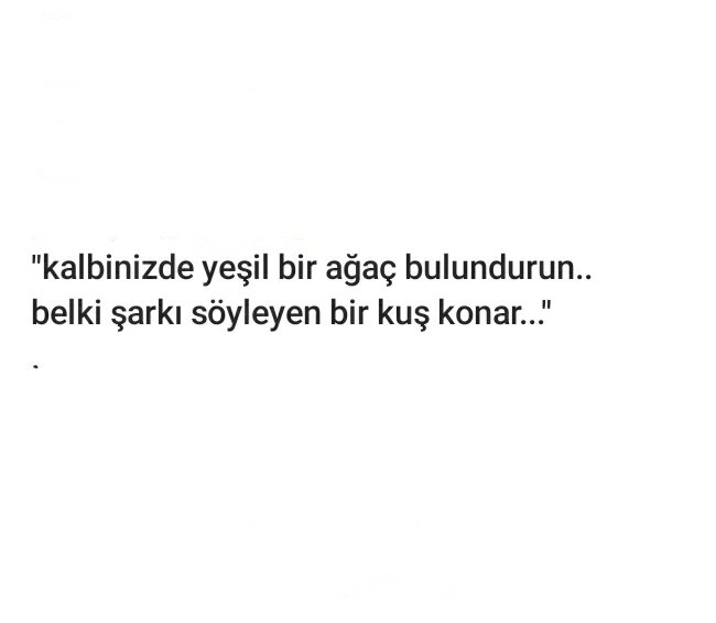 Sedat (@sedat_sfm) on Twitter photo 