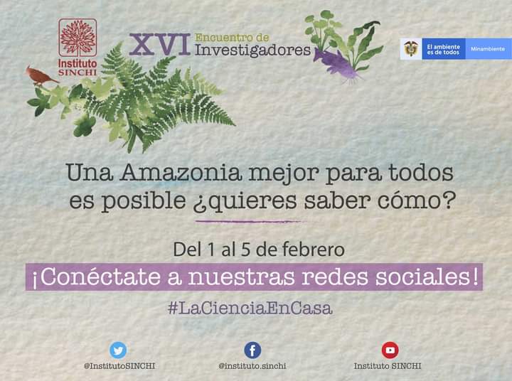 ¿Sabías que la Amazonia es la mayor región de bosque tropical del planeta? Si te interesa la Amazonia tanto como a nosotros conéctate a nuestras redes sociales del 1 al 5 de febrero. #LaCienciaEnCasa.