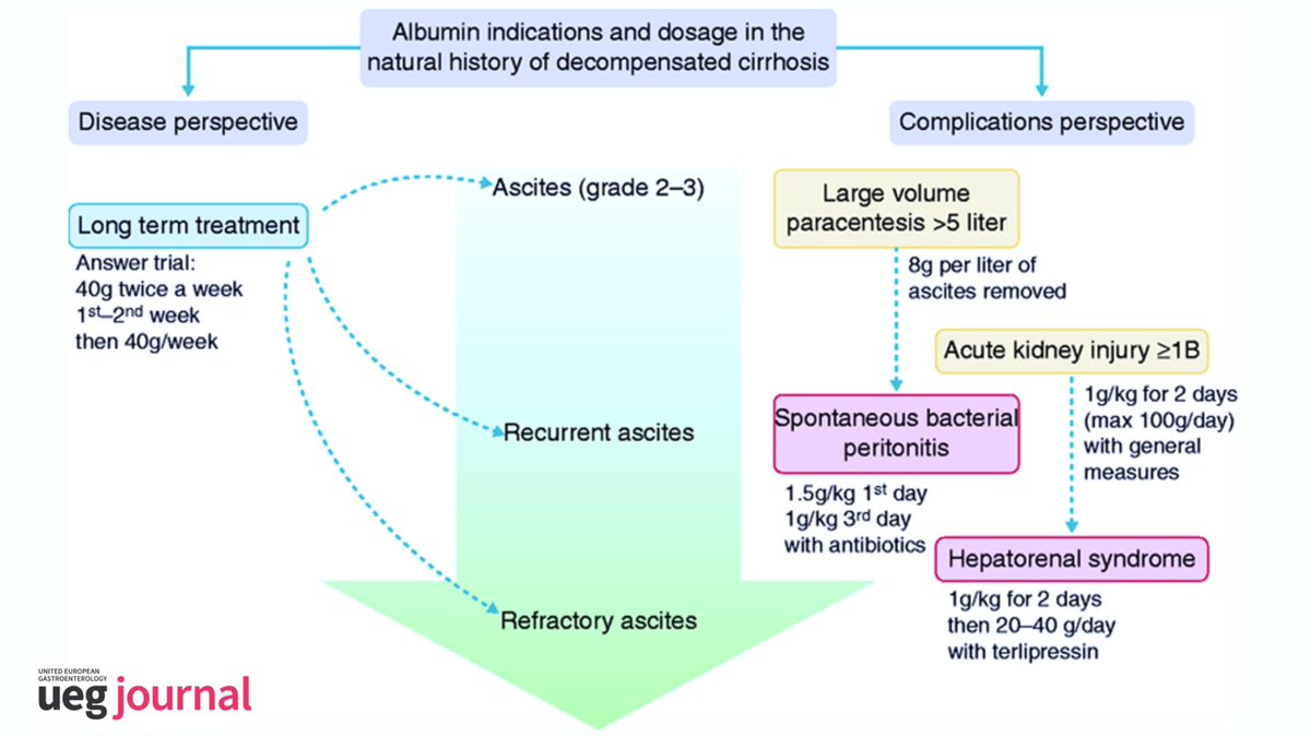 Albumin in decompensated cirrhosis

✅ Diagnostic algorithm for new onset ascites

✅ indication and management

onlinelibrary.wiley.com/doi/10.1177/20…