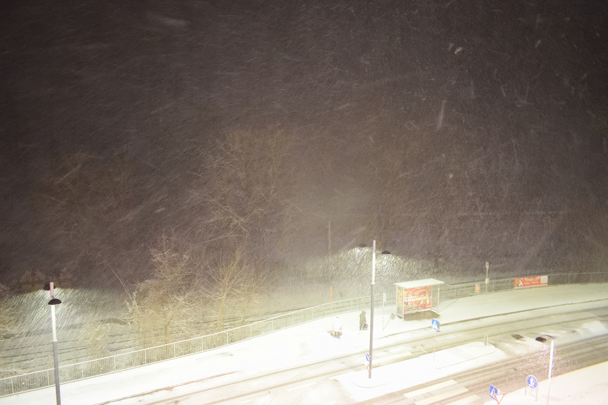 nikzimmer87's tweet photo. Der Winter ist zurück im Wienerwald! #ww75 #Schnee https://t.co/FyfJTYnEqa