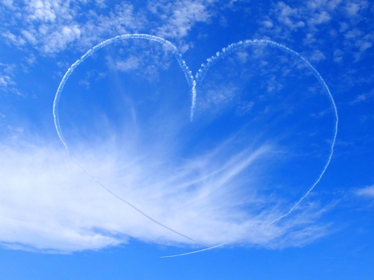 バーティカルキューピッド