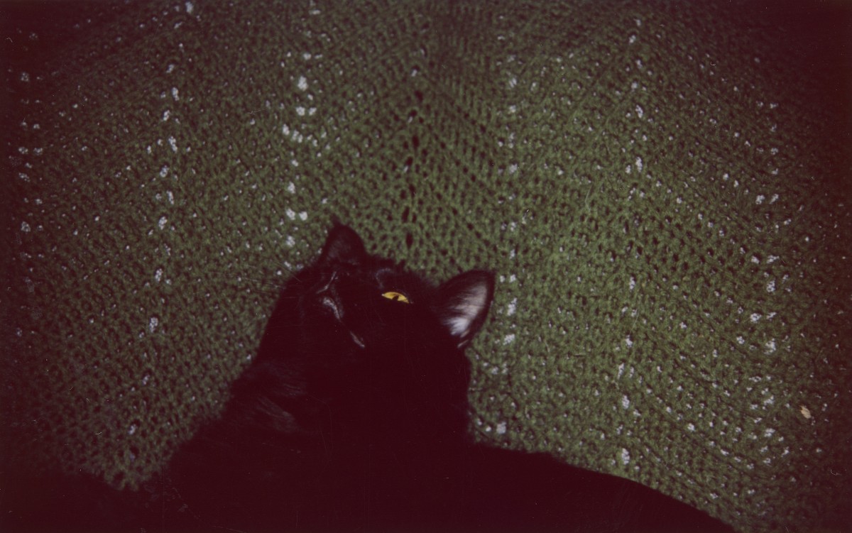 #PresxsEnLucha Notícias de José Adrián Poblete Darre desde la prisión de Navalcarnero (Madrid) suportpresxslleida.noblogs.org/post/2021/01/2…