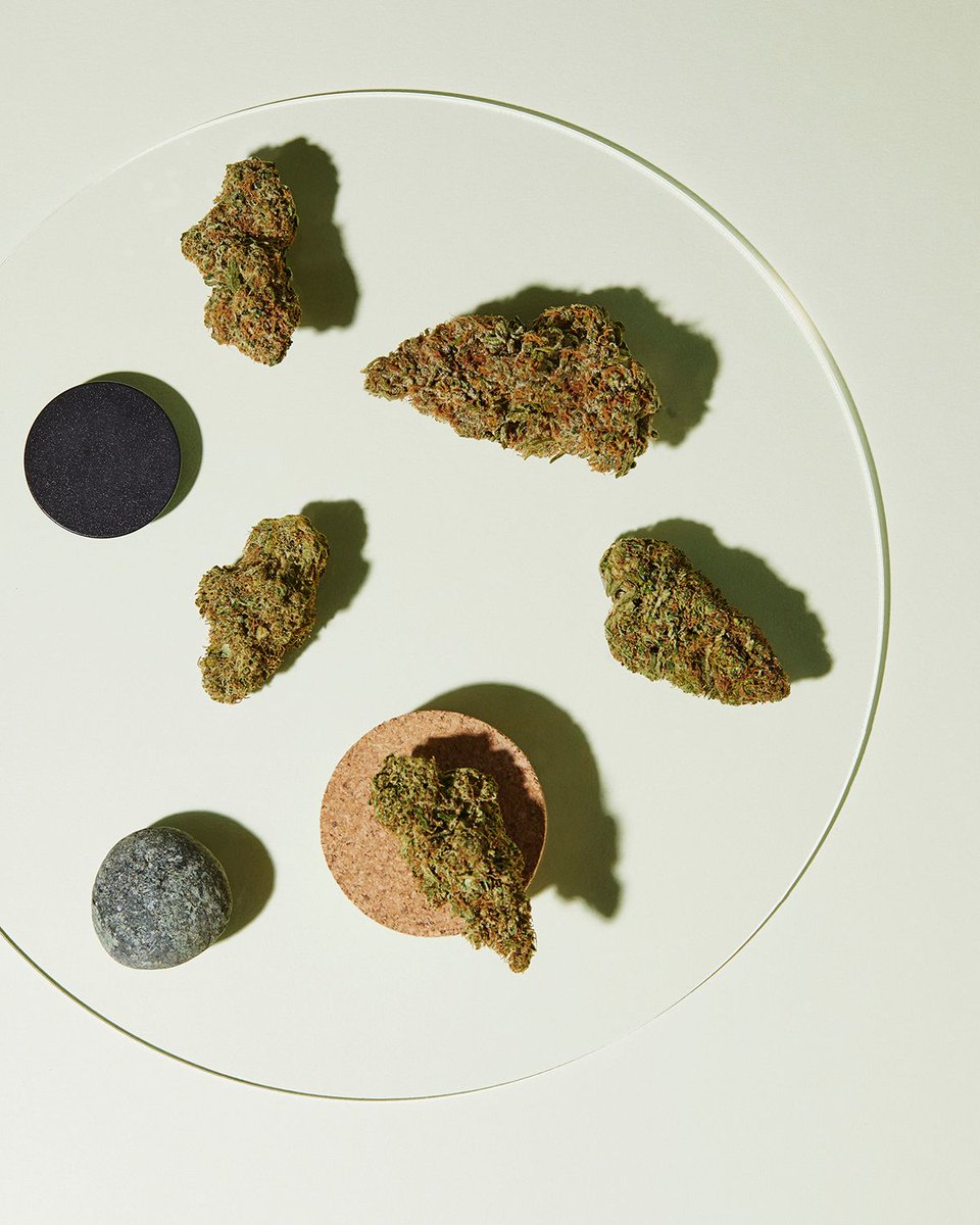 RedecanOfficial's tweet photo. Natural beauty. 🎨  #Redecan https://t.co/9ureTTPtED