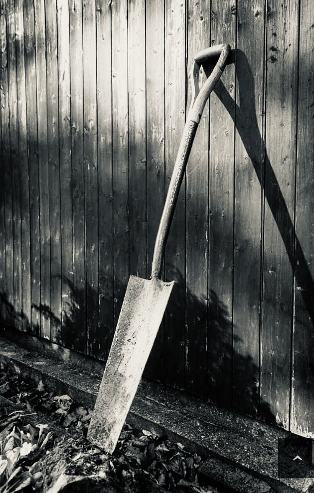 “SURRENDER THE DEAD ... offers a riveting tale ... of small town life and how the town’s secrets have haunted the residents for decades.” - The Ridgefield Press