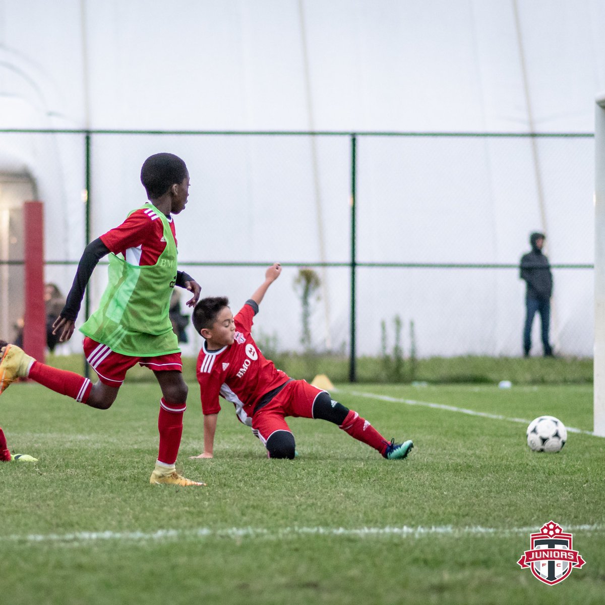 Toronto FC Juniors tweet media