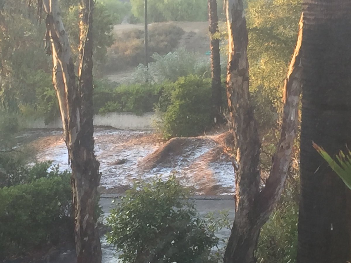Snow in ⁦<a href="/VisitEscondido/">Visit Escondido</a>⁩?? View out my kitchen window.  Cold, even for a native Buffalonian.