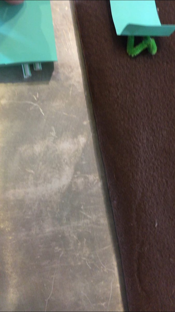 Elisa Mann tweet media