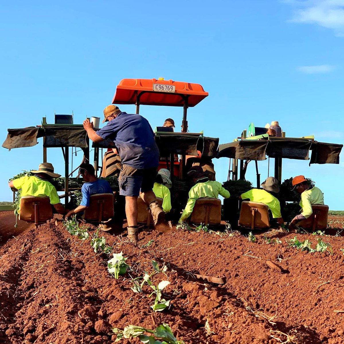 kbresort's tweet photo. No air condition out there! Thanks to the amazing family at Windum Farms for feeding us all your yummy sweet potatoes ...
#visitbundaberg #tastebundaberg #supportourfarmers #thisisqueensland #seeaustralia #holidayherethisyear https://t.co/1qLG3GuR7n