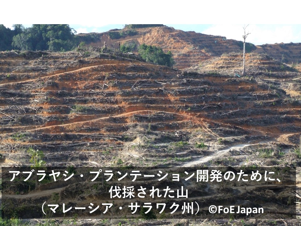 FoEJapan's tweet photo. 旅行大手HIS @his_japan が宮城県角田市で年間7万トンもの #パーム油 をもやす #バイオマス 発電所を、稼働させようとしています。パーム油の需要急増は #熱帯林 と #生物多様性 を破壊。大量のGHGを排出。
詳しくは→https://t.co/1VGNfC5Cpo
#HISのパーム油発電に抗議します
#stopHIS
#NoToHIS https://t.co/TbmEDqdc6U