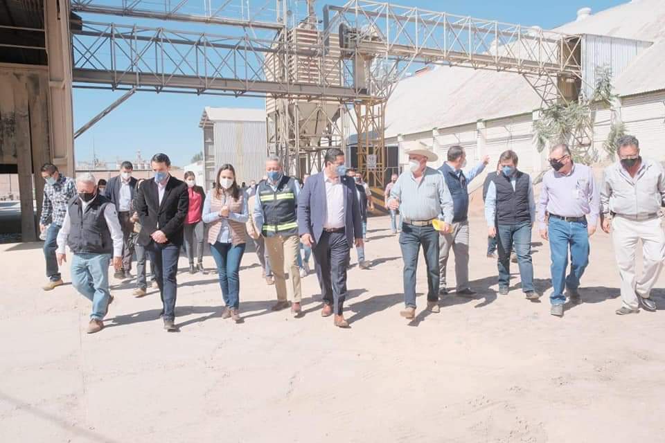 LorenaAlfaroG's tweet photo. En #Irapuato no se ha dejado de invertir en la construcción de una ciudad próspera y de primera. Sé que #UnidosConValor seguiremos haciendo de nuestro municipio un mejor lugar para las familias.

#ElValorDeIrapuato 🍓 https://t.co/X7j8Wpc0yi