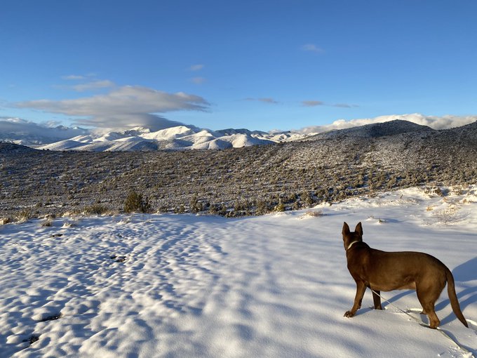 Hildi and I climbed a mountain today https://t.co/TO96xMejsr<a href="/tag/mvsales"class="tags"><span>#mvsales</span></a>