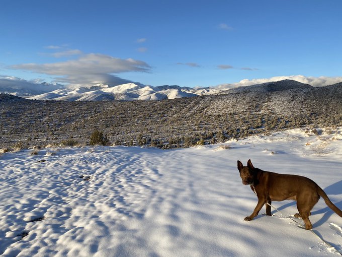Hildi and I climbed a mountain today https://t.co/TO96xMejsr<a href="/tag/mvsales"class="tags"><span>#mvsales</span></a>