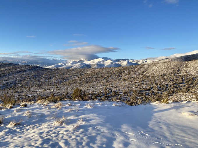 Hildi and I climbed a mountain today https://t.co/TO96xMejsr