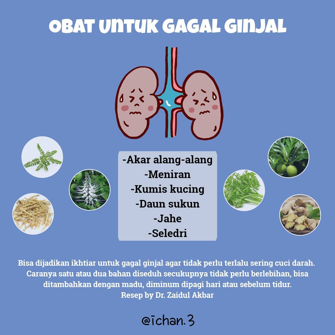 resep_JSR's tweet photo. Resep untuk gagal ginjal https://t.co/HMwMtBIZmo