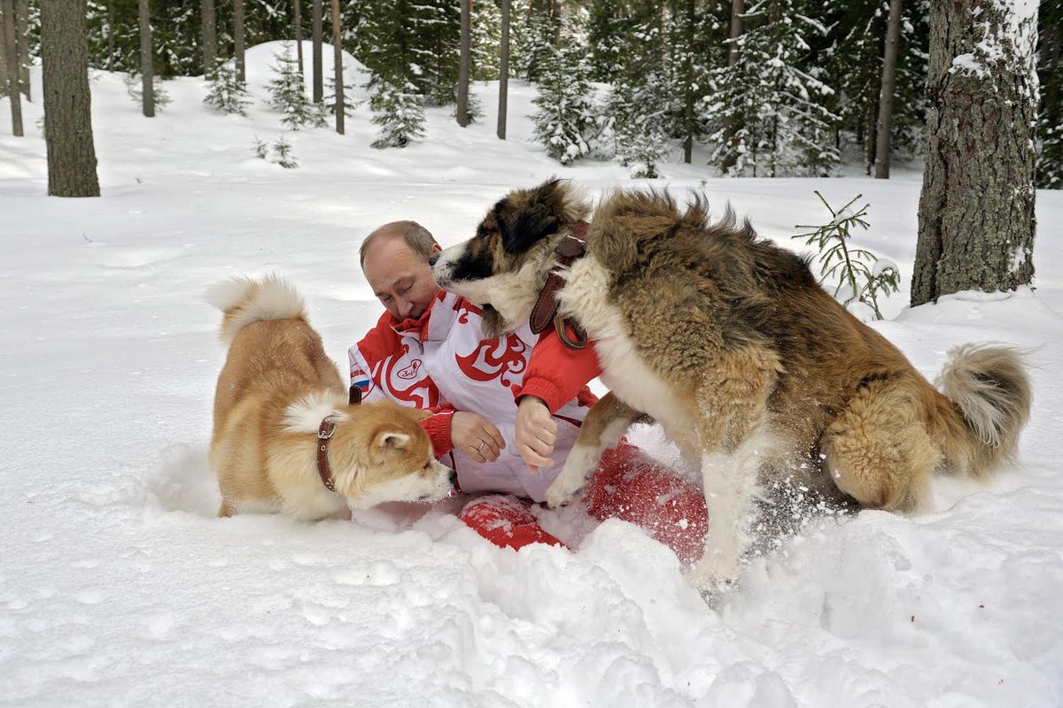 TheOvalPawffice's tweet photo. 🇷🇺 As our dad @POTUS was on the phone with Vladimir, we had a few woofs of our own with the pawdorable Pasha, Verni, Yume and Buffy. We asked them to pawnvince their father to stop doing evil things to good hoomans and to free #AlexeiNavalny. They pawmised they’ll try their best. https://t.co/uFqw1cU1H4