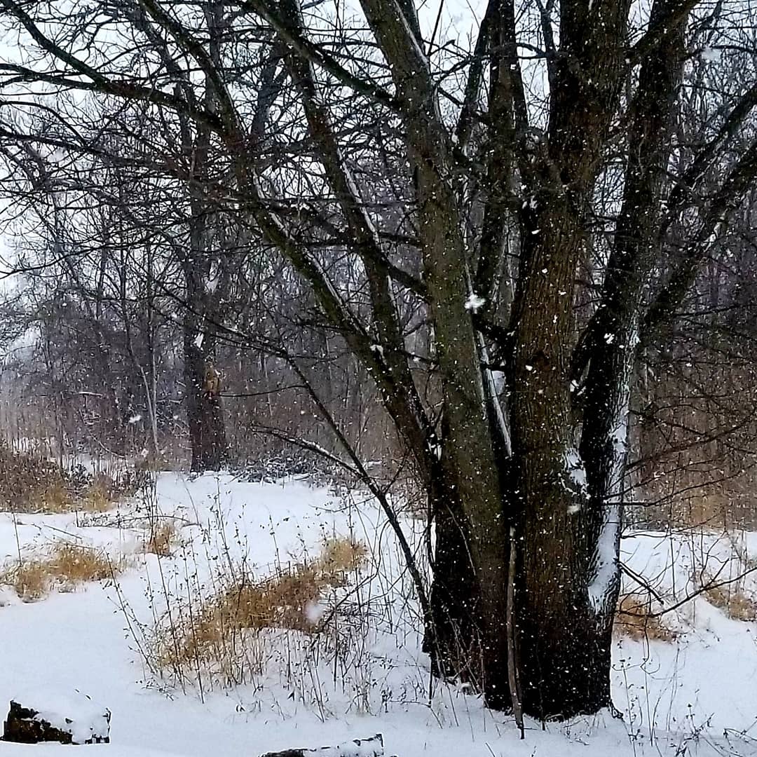 MidAgeManiac's tweet photo. Hiking during a snowstorm https://t.co/fmt6C6RMdh