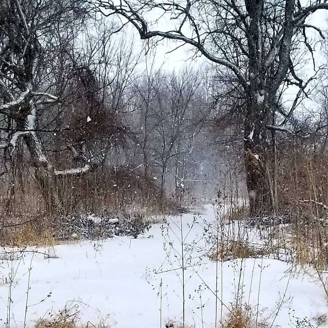 MidAgeManiac's tweet photo. Hiking during a snowstorm https://t.co/fmt6C6RMdh