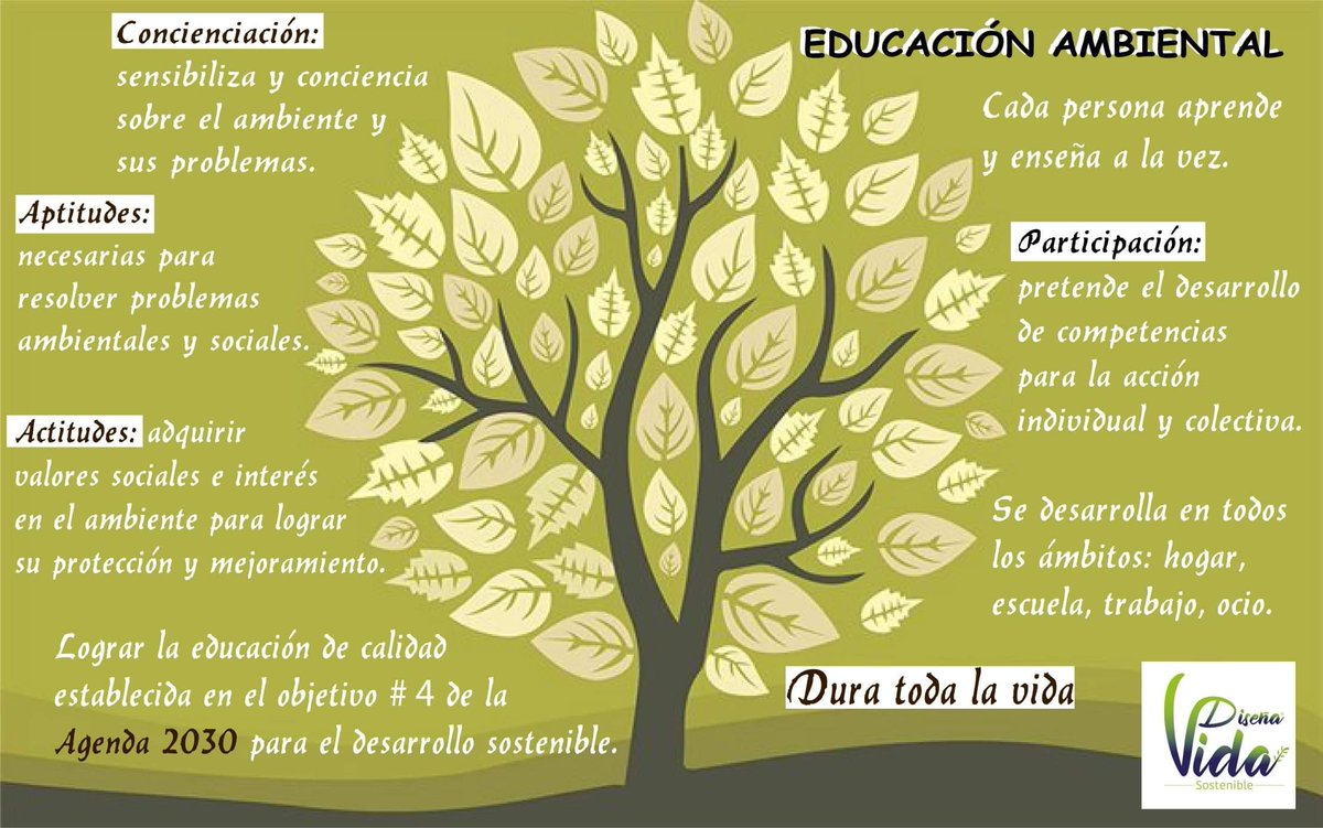 VidaDisena's tweet photo. "Día mundial de la educación ambiental", acciones que se deben incluir para lograr el objetivo #4, de los objetivos de desarrollo sostenible: "Educación de calidad". 
#DiaMundialDeLaEducacionAmbiental 
#EducacionAmbiental 
#ODS2030 
#Agenda2030 
#respetaelambiente 
#actúa https://t.co/sjla0oeUWE