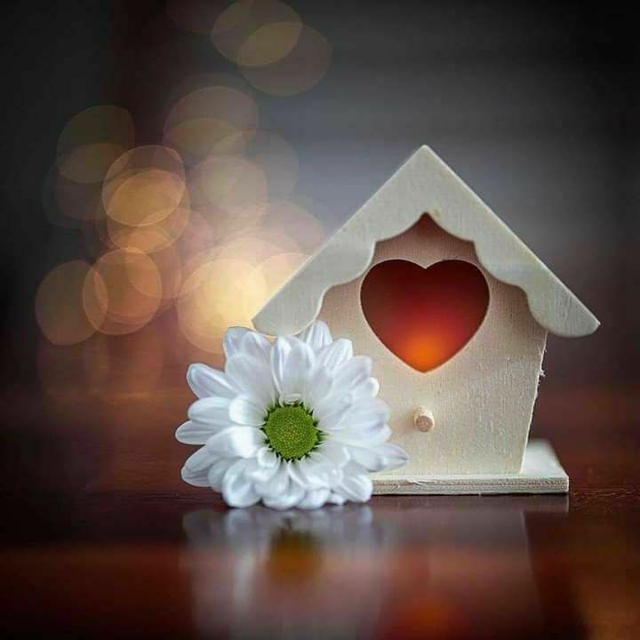 أن تكون نفسك في عالم يحاول أن يجعلك شيئا  أخر ، فهذا أعظم إنجاز..!!