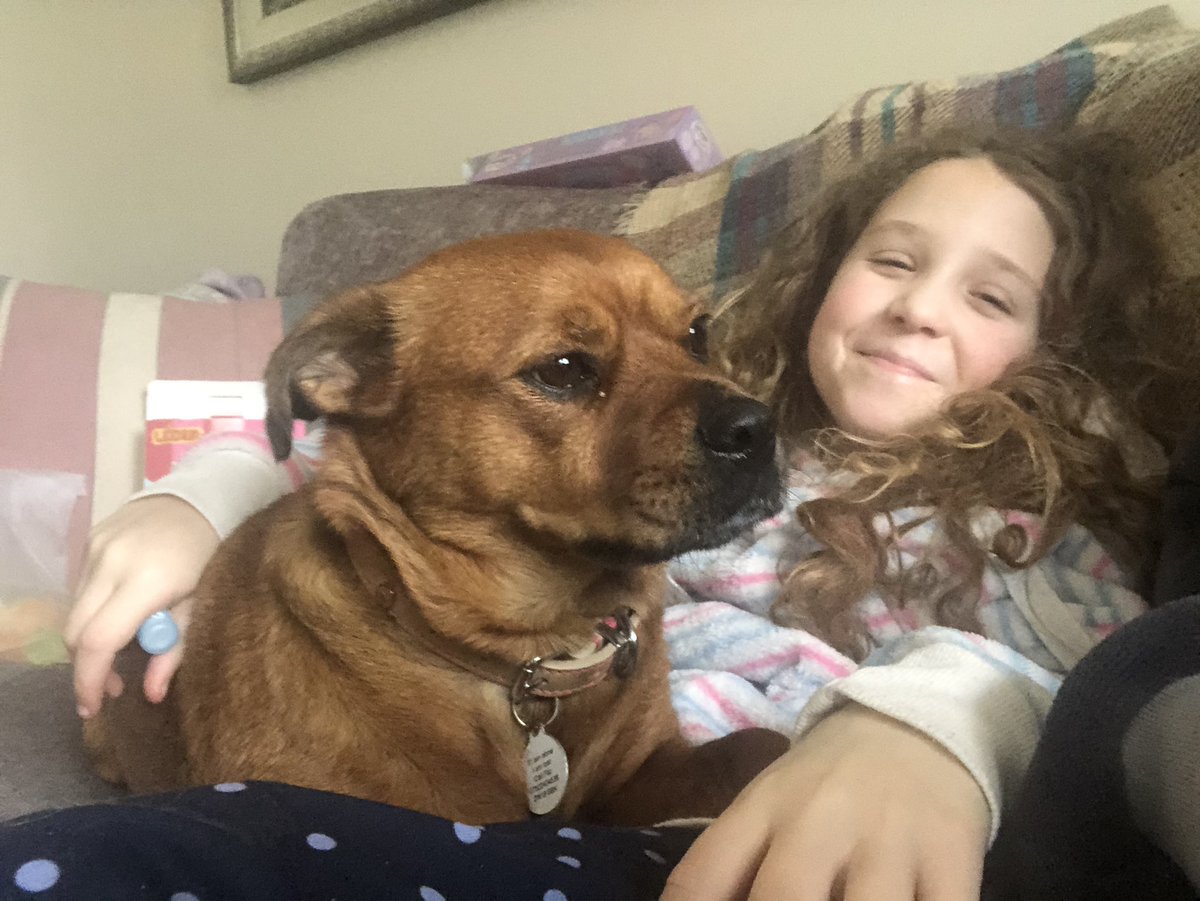DaisyThePatDog's tweet photo. @rylatt_paula @NLCareGroup Also on Instagram with the same name. Missing my visits so much. My human sister is having to give me all the attention I need daily at the moment and I think she’s starting to feel a bit worn out!I can’t wait for visits to start again x https://t.co/vfHz0va95Q