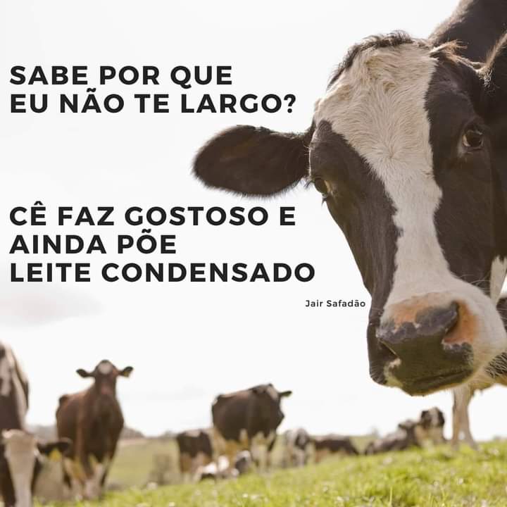 Negras gostosas com bucetao Se faz gostoso e ainda poe leite