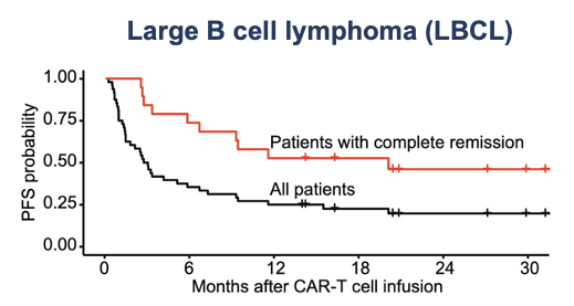 A lot of buzz around CD19 CAR T cell therapy, understandably, but clearly outcomes are perfectible. In our experience using defined-composition CD19 CAR T cells, only 25-30% of large B cell lymphoma (LBCL) and B-ALL pts remain disease-free long-term. 2/24