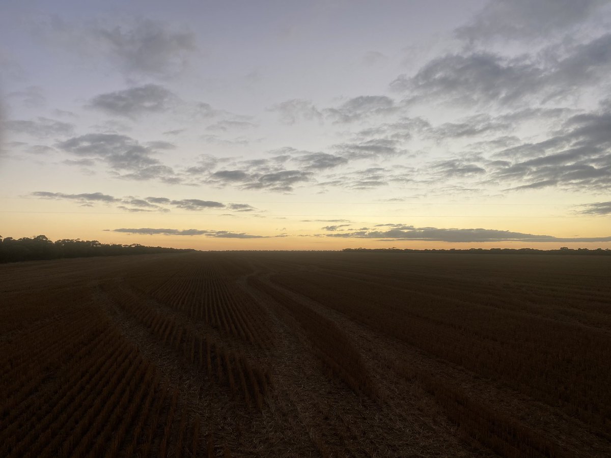 Robert Kathryn🇬🇧🇺🇸🇭🇲 tweet media