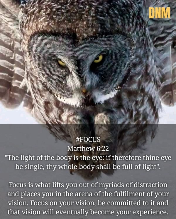 sola_olarewaju's tweet photo. #focus
#vision
#nevergivein
#commitment
#nodistraction
#refusetocompromise https://t.co/QGhhuvnQbi