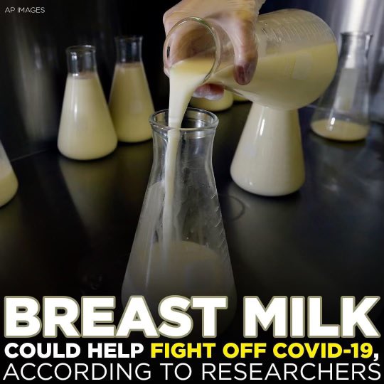 Bee 🐝 🇩🇴 tweet media